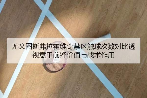 尤文图斯弗拉霍维奇禁区触球次数对比透视意甲前锋价值与战术作用